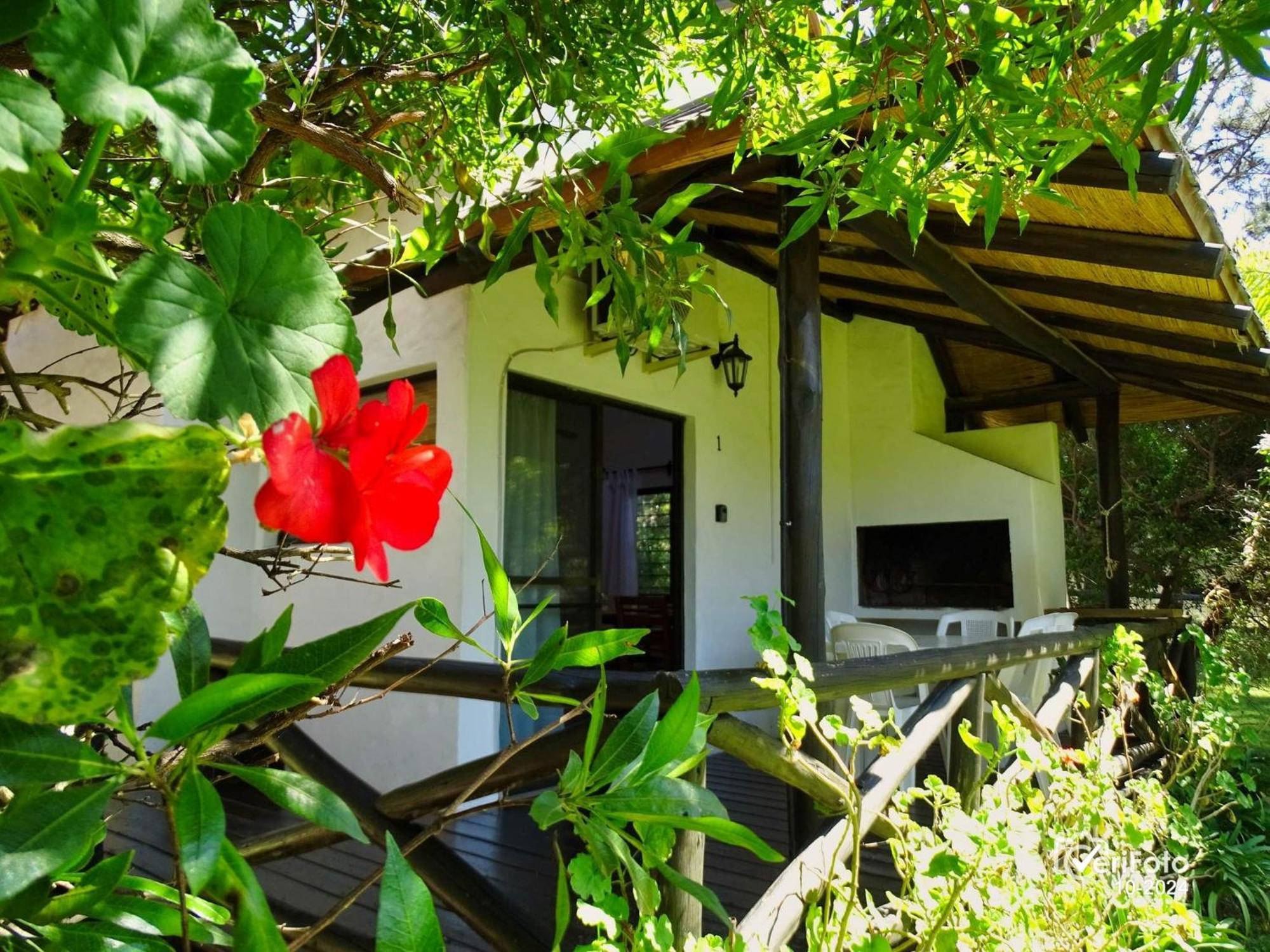 Bungalows Punta Colorada Piriápolis Екстериор снимка